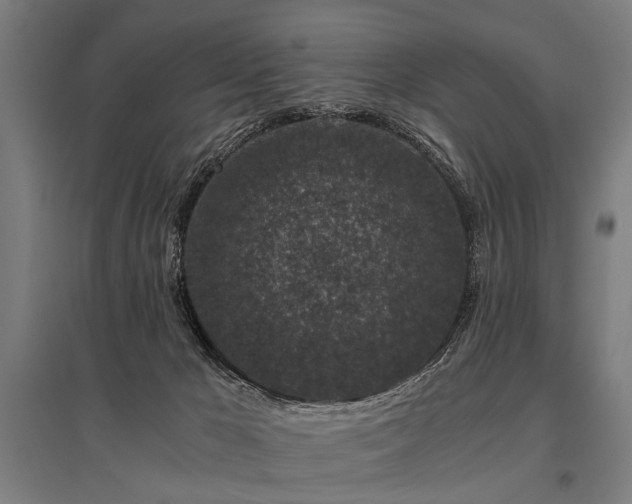 X0000096160029200801181234