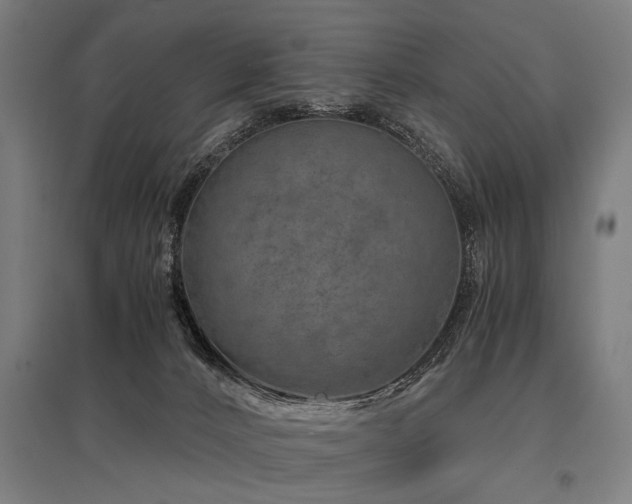 X0000096160032200801181234