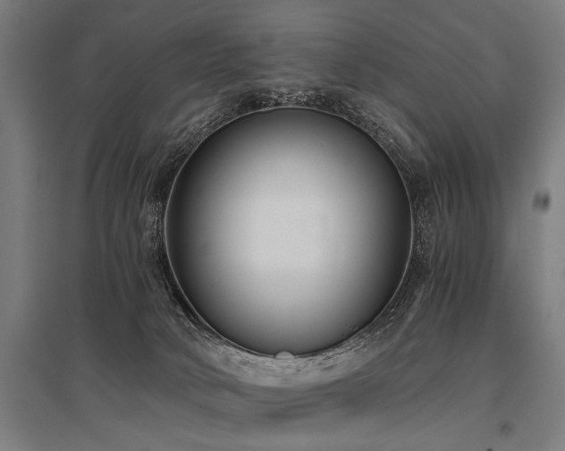 X0000096160034200801181234