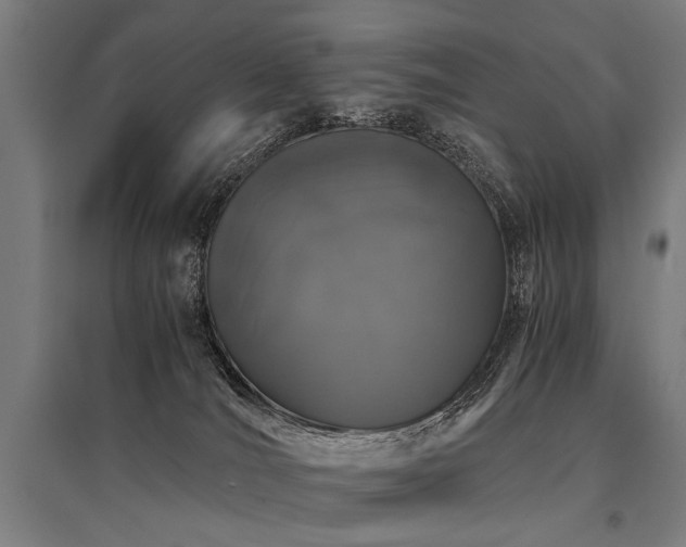 X0000096160036200801181234