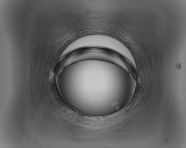 X0000096160037200801181234