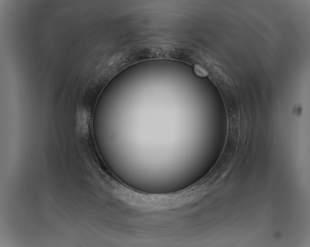 X0000096160038200801181234