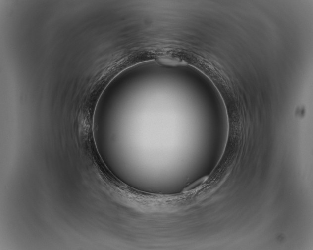 X0000096160040200801181234