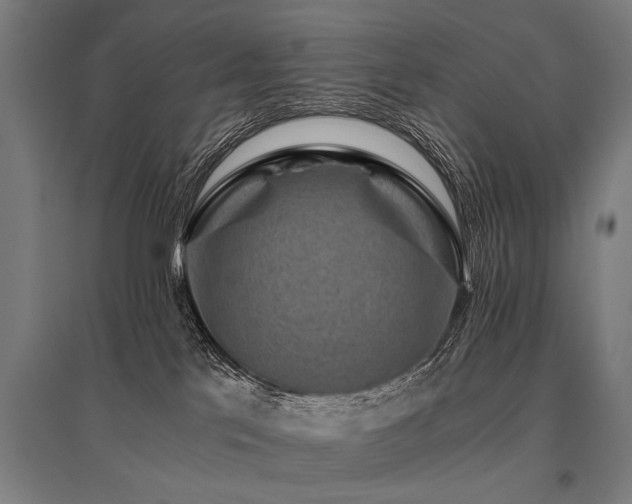 X0000096160041200801181234