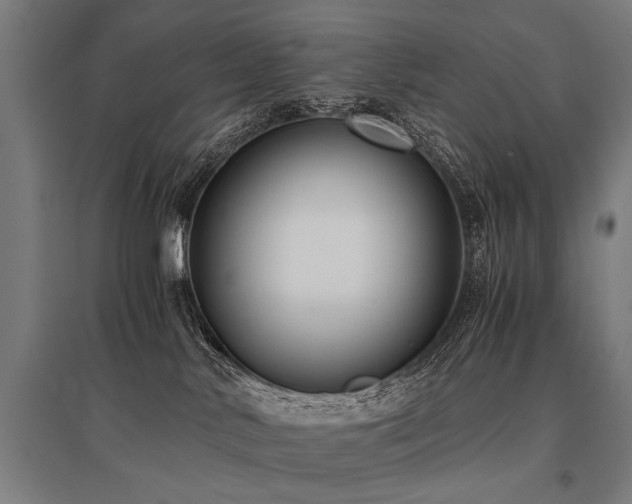X0000096160042200801181234