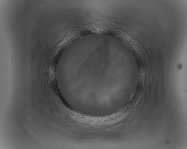 X0000096160043200801181234