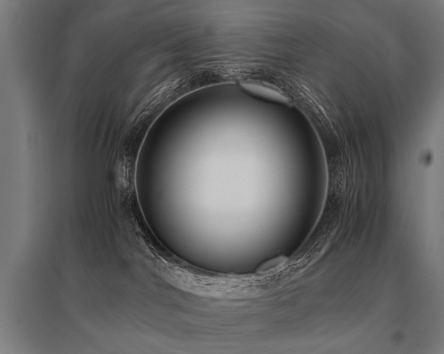 X0000096160044200801181234