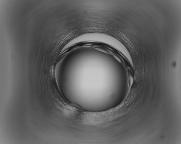 X0000096160045200801181234