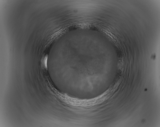 X0000096160047200801181234