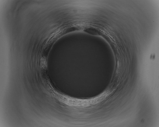 X0000096160048200801181234