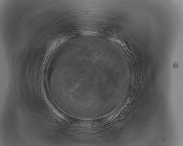 X0000096160049200801181233