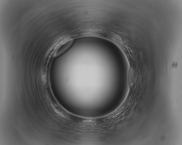 X0000096160050200801181233