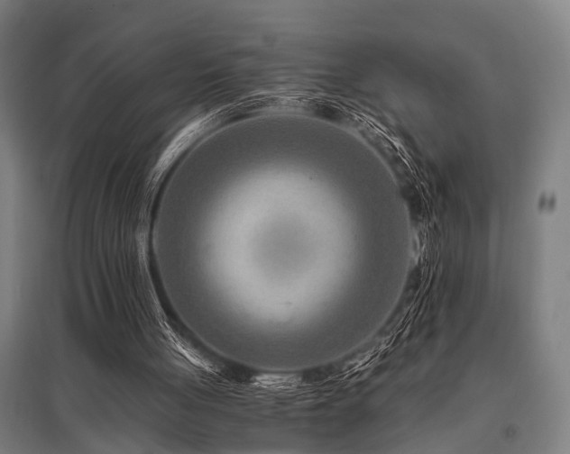 X0000096160051200801181233