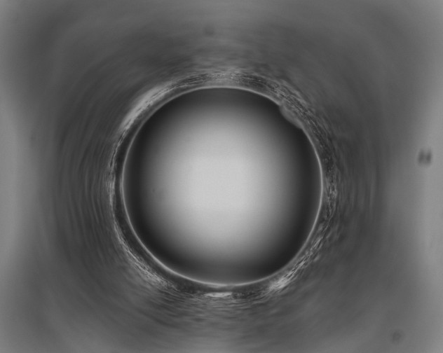 X0000096160054200801181233