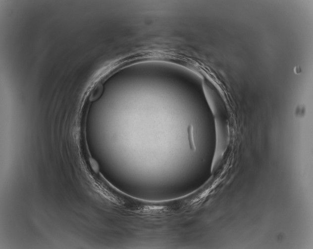 X0000096160055200801181233