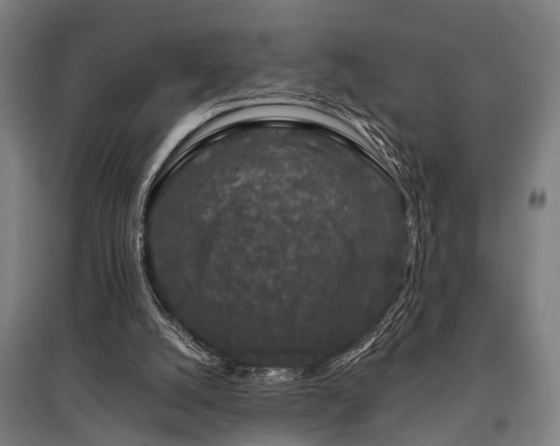 X0000096160056200801181233