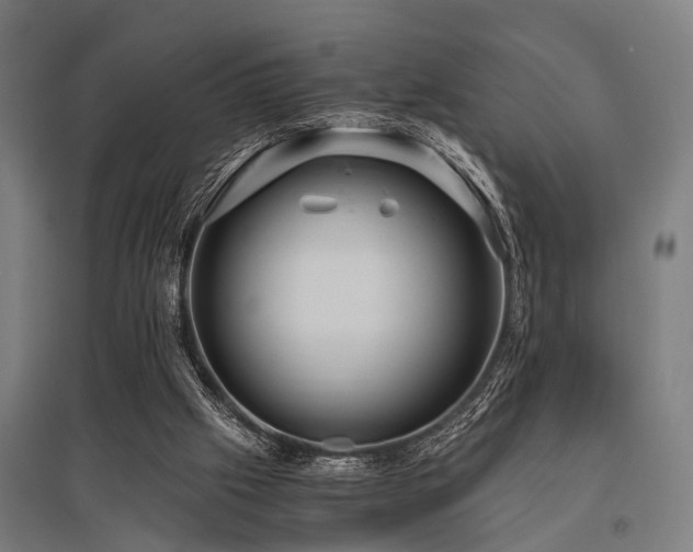 X0000096160057200801181234