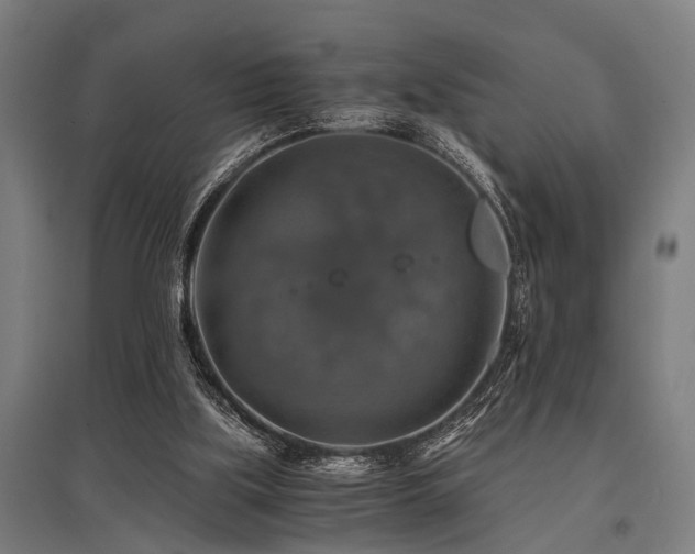 X0000096160059200801181234