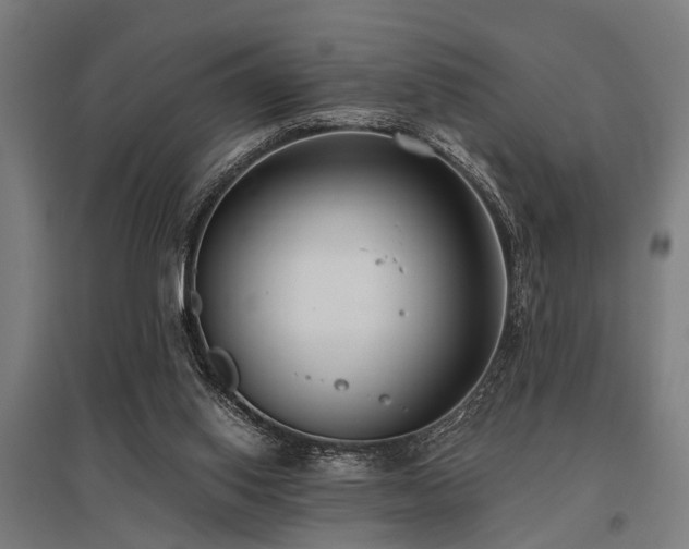 X0000096160062200801181234