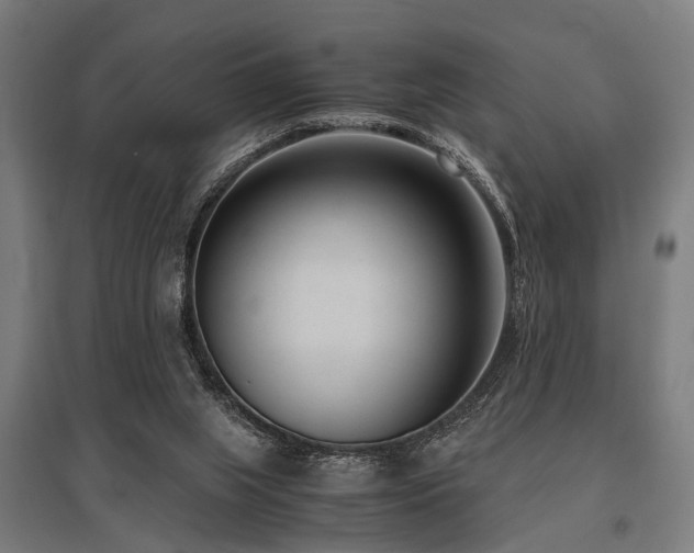X0000096160063200801181234
