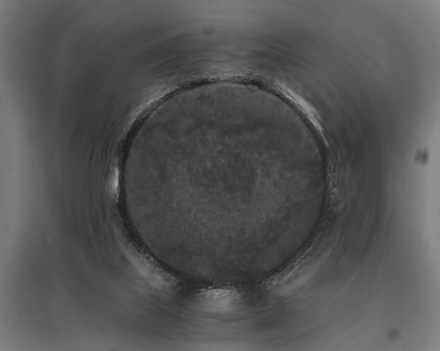 X0000096160067200801181234