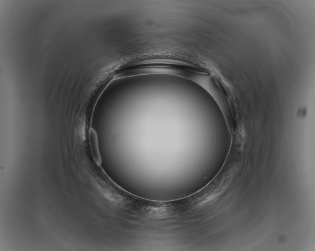 X0000096160068200801181234