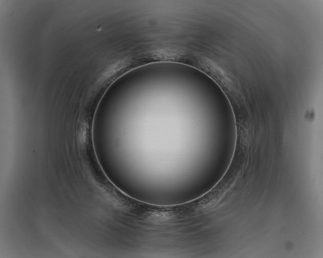 X0000096160071200801181234