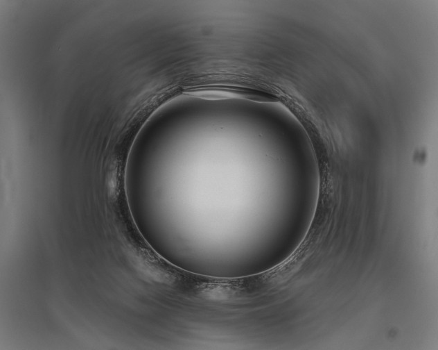 X0000096160074200801181234