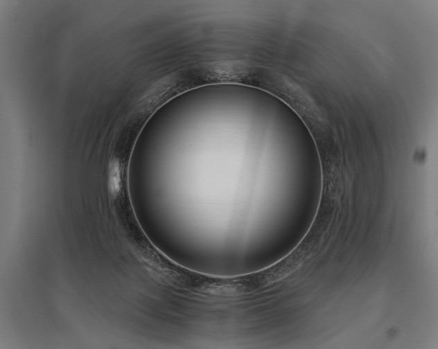 X0000096160075200801181234