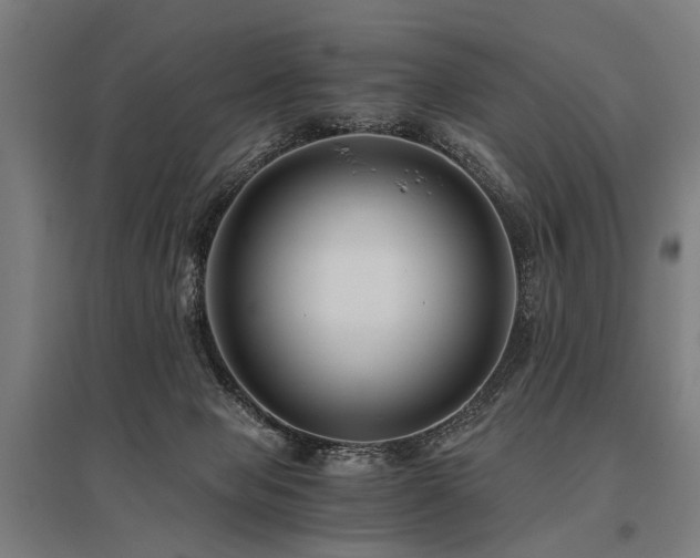 X0000096160077200801181234