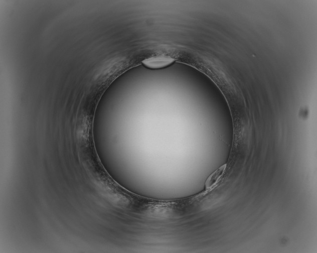 X0000096160078200801181234