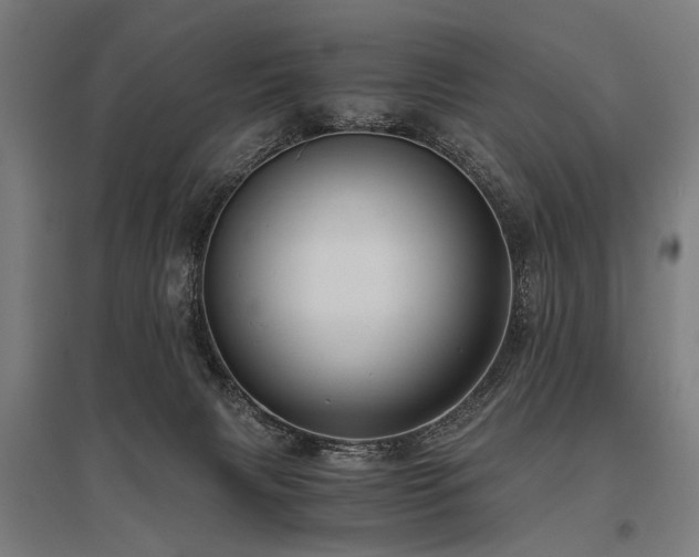 X0000096160079200801181234