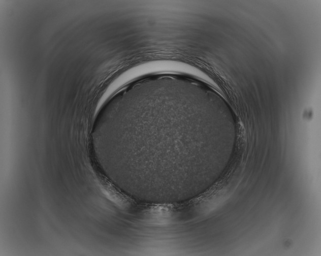 X0000096160080200801181234