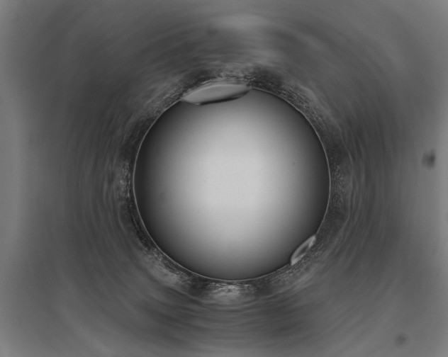 X0000096160083200801181234