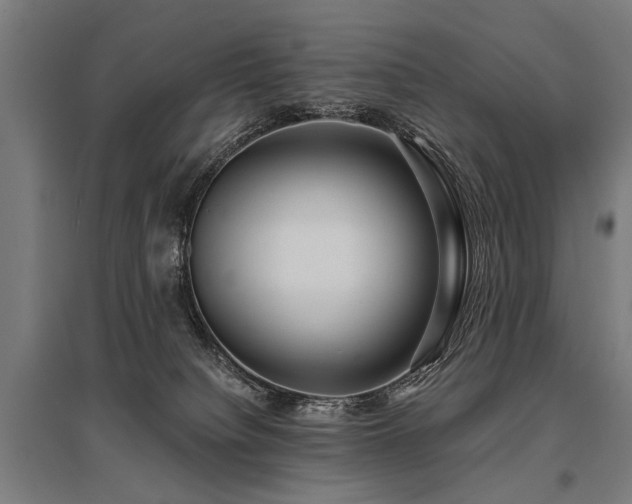 X0000096160084200801181234