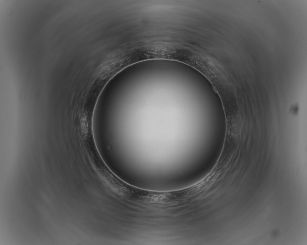 X0000096160086200801181234