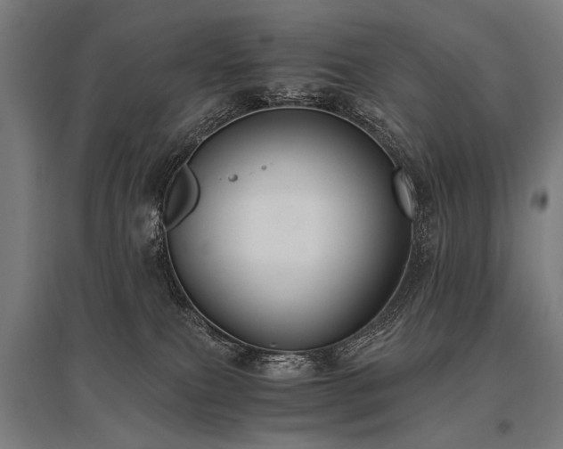 X0000096160087200801181234