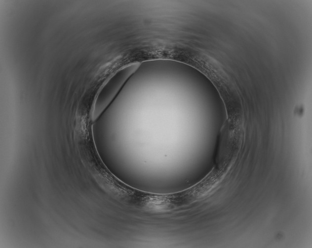 X0000096160088200801181234