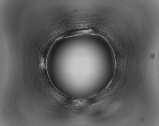 X0000096160089200801181234