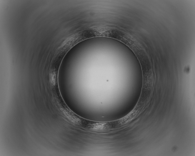 X0000096160090200801181234