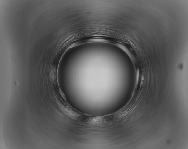 X0000096160092200801181234
