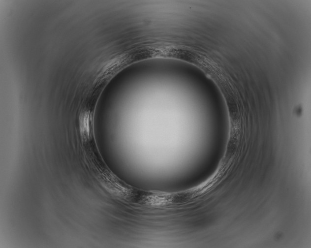 X0000096160094200801181234