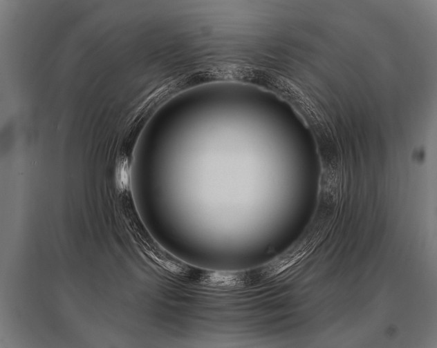 X0000096160095200801181234
