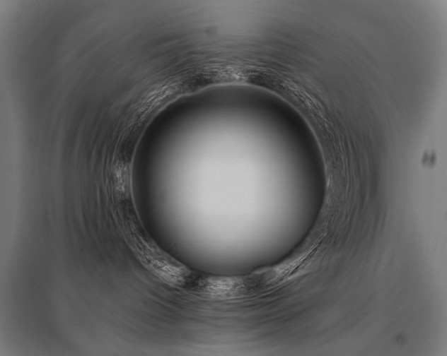 X0000096160096200801181234