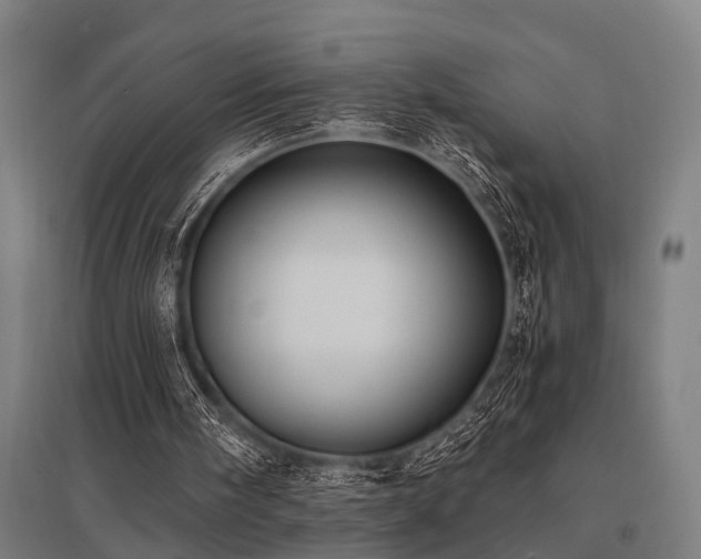 X0000096160098200801181233