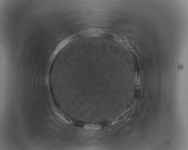 X0000096160099200801181233