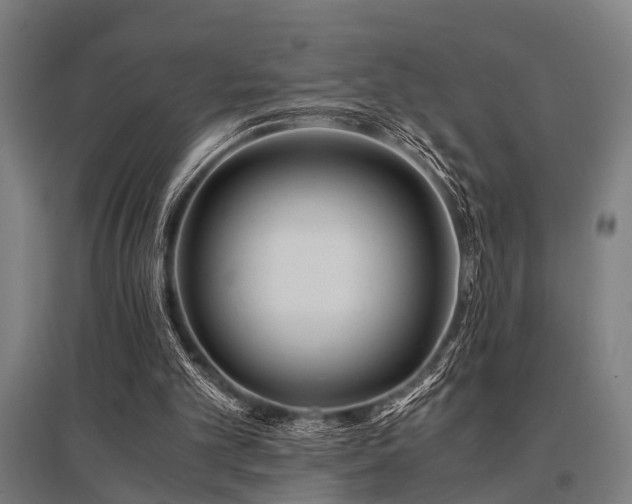 X0000096160101200801181233