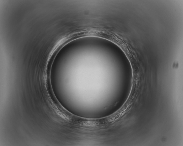 X0000096160102200801181233