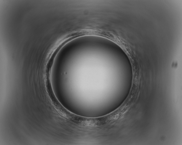 X0000096160103200801181233