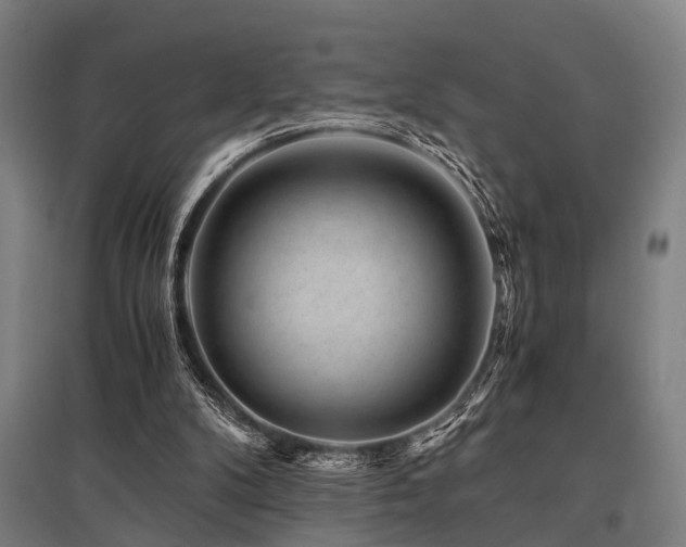 X0000096160104200801181233